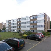 Group logo of Queenswood Gardens, London, E113SE