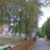 Group logo of Lorraine Court, Bean Road, Greenhithe, Kent, DA9 9LL