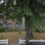 Group logo of Foxleas Court, 4 Spencer Road, Bromley, BR1 3WB