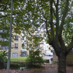 Group logo of Yeoman Close, Ipswich, Suffolk IP1 2QB