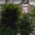 Group logo of Compayne Gardens, ,  London,  Greater London, nw63dn