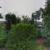 Group logo of Inglewood Court, ,  Liebenrood Road,  Reading,  Berkshire, RG302DU